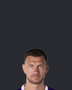 Edin Džeko