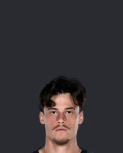 Mile Svilar